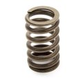 Gm Performance Parts GM Performance Parts 10212811 1.250 Valve Spring for Small Block Chevy 602 Crate Engine GMP10212811